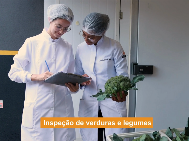 Equipe preparando alimentos